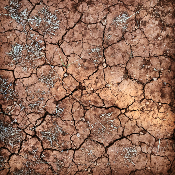Cracked Dry Soil Texture for PBR 3D Models Sand-soil texture preview