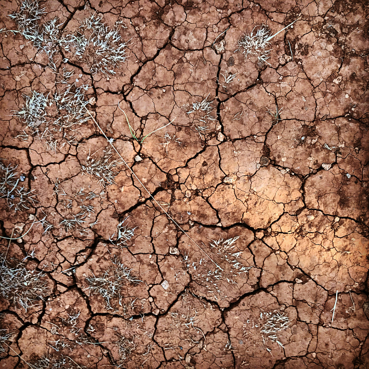Cracked Dry Soil for Models seamless PBR texture preview