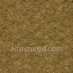 seamless Ancient Grass Seamless Texture texture 1024x1024 free download PBR
