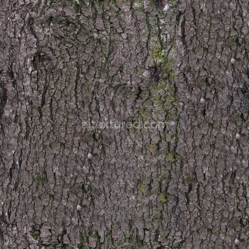 Seamless Bark 17 by Share Textures – PBR 3D Texture (8K ready)