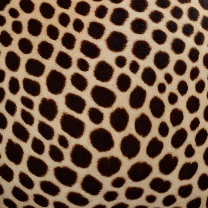 Leopard Print Fur with Natural Spot Pattern seamless PBR texture preview