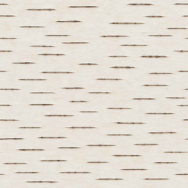 Polished Birch Bark seamless PBR texture preview