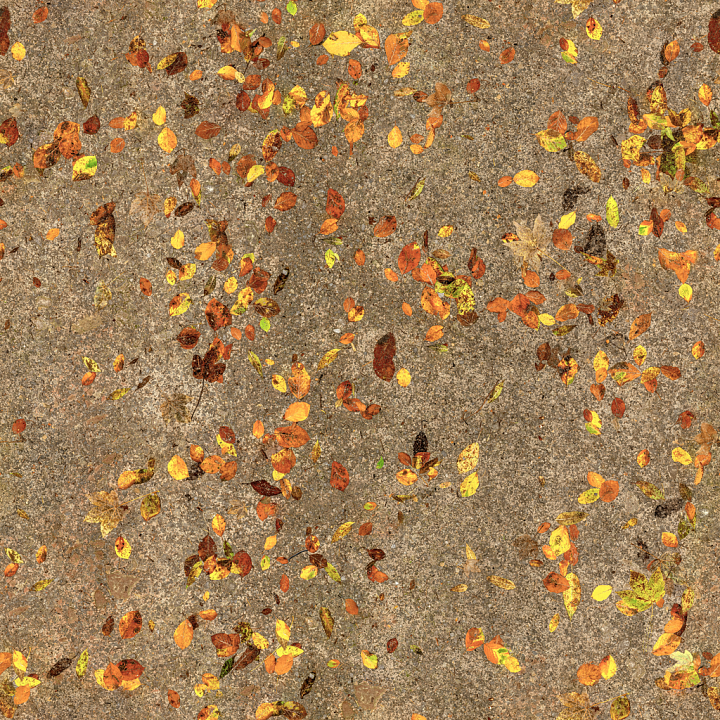 Autumn Forest Dirt - Leaves Autumn Forest Forest Dirt Nature seamless PBR texture preview