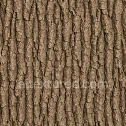 seamless Clean Oak Bark Texture Seamless texture 8k free download PBR