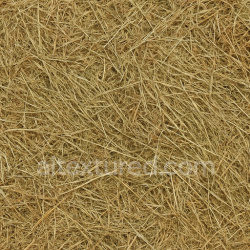seamless Natural Hay Seamless Texture texture 1024x1024 free download PBR