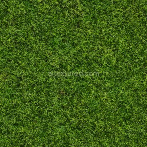 Seamless Moss Texture