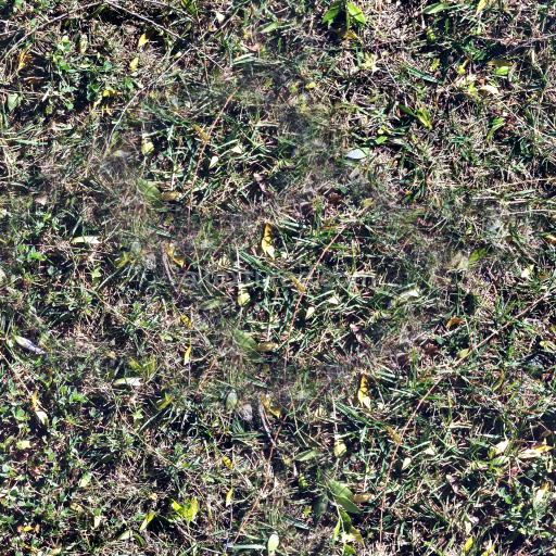 High-Quality Seamless Grass Texture