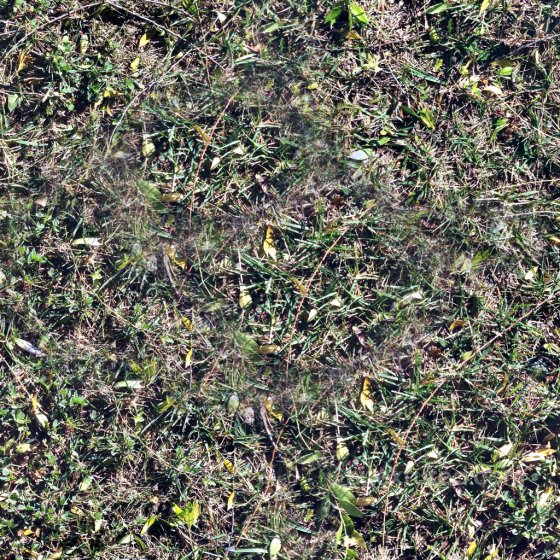 High-Quality Seamless Grass Texture Ground surface texture preview