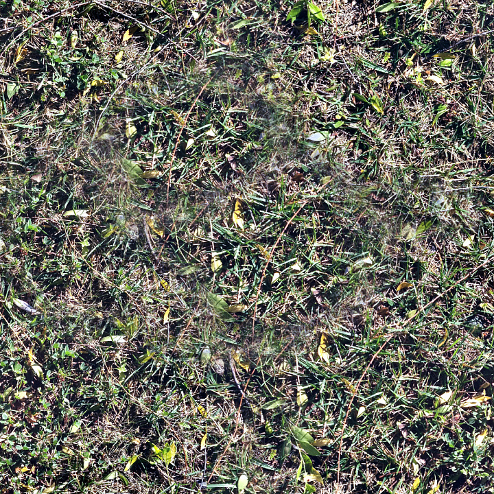 High-Quality Grass seamless PBR texture preview