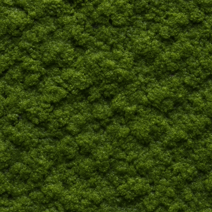 Matte Wet Moss seamless PBR texture preview