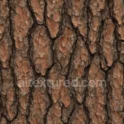seamless Coarse Pine Bark Texture Seamless texture 8k free download PBR