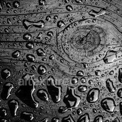 seamless High-Detail PBR Texture of Water Droplets on Rough Wood Surface texture 8k free download PBR