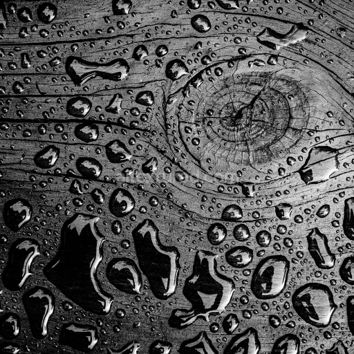 Preview — High-Detail PBR Texture of Water Droplets on Rough Wood Surface