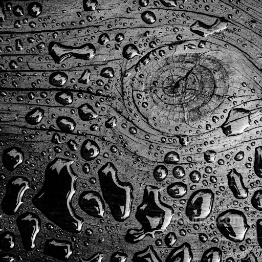 High-Detail PBR Texture of Water Droplets on Rough Wood Surface seamless Wood PBR texture