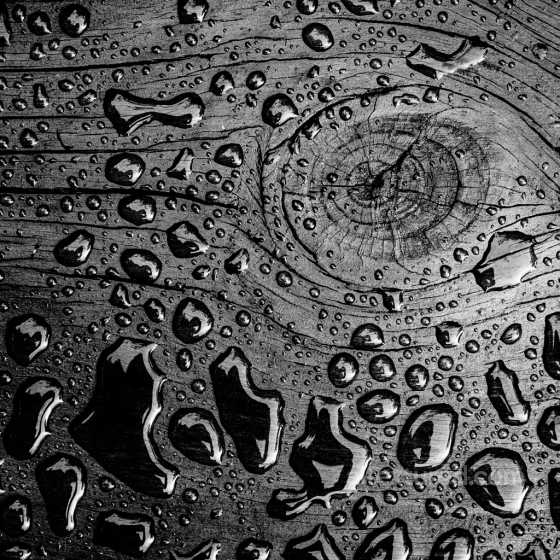 High-Detail PBR Texture of Water Droplets on Rough Wood Surface Wood texture preview