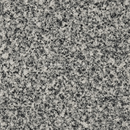 Granular Granite Seamless Texture