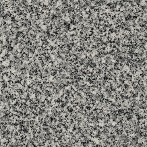 Granular Granite Seamless Texture seamless Granite PBR texture