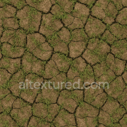 seamless Cracked Turf Texture texture 1024x1024 free download PBR