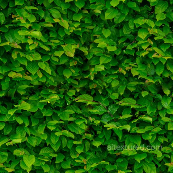 High-Quality Seamless Leaves Texture Ground surface texture preview