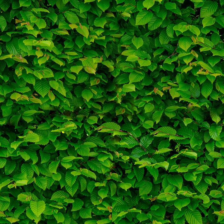High-Quality Leaves seamless PBR texture preview