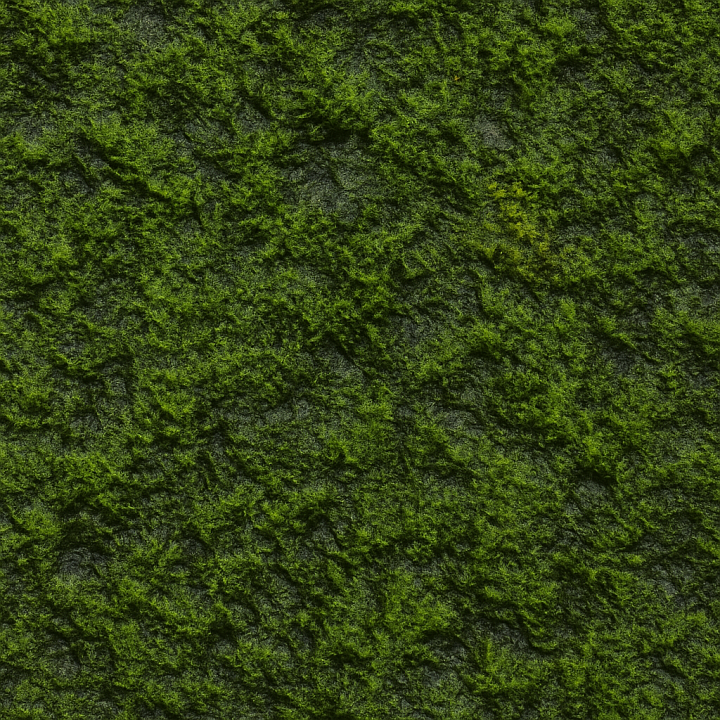 Rough Wet Moss seamless PBR texture preview