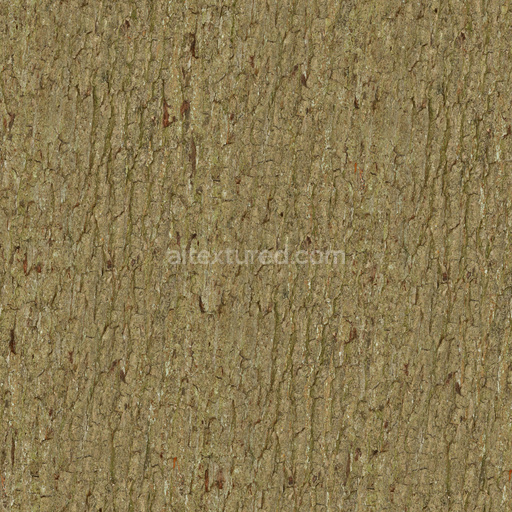 Seamless Bark 012 by Textures – PBR 3D Texture (8K ready)