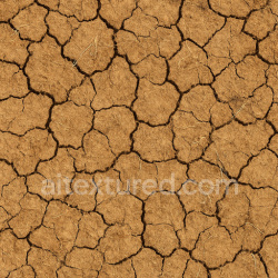 seamless Cracked Savanna Texture texture 1024x1024 free download PBR