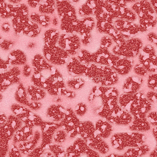 A5 Wagyu Beef Steak with Marbling Texture | Free PBR