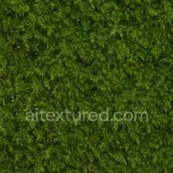 seamless Detailed Forest Moss Texture Seamless texture 8k free download PBR