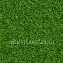 seamless Photorealistic Grass Texture texture 8k free download PBR