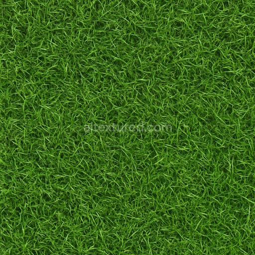 Photorealistic Grass Texture