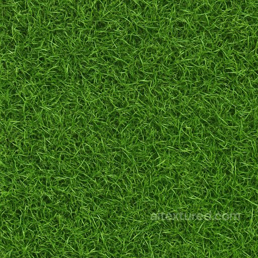 Photorealistic Grass Texture seamless Grass PBR texture