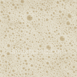 seamless Natural Foam Seamless Texture texture 1024x1024 free download PBR