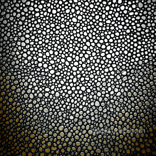 Skin PBR Texture with Detailed Black and White Pore Pattern seamless Skin PBR texture
