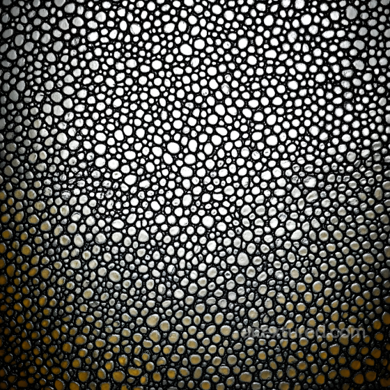 Skin PBR Texture with Detailed Black and White Pore Pattern Skin texture preview