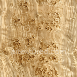 seamless Seamless 3D PBR Light Burl Wood Texture Featuring Distinctive Knots and Swirling Grain texture 8k free download PBR