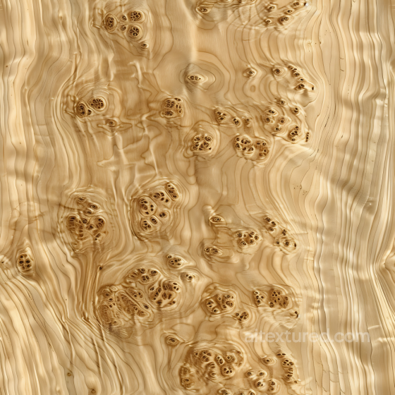 Light Burl Wood Texture Featuring Distinctive Knots and Swirling Grain Wood texture preview