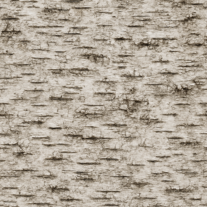 Weathered Birch Bark seamless PBR texture preview