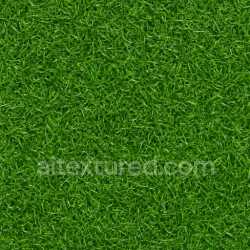 seamless Wet Green Lawn Texture texture 8k free download PBR