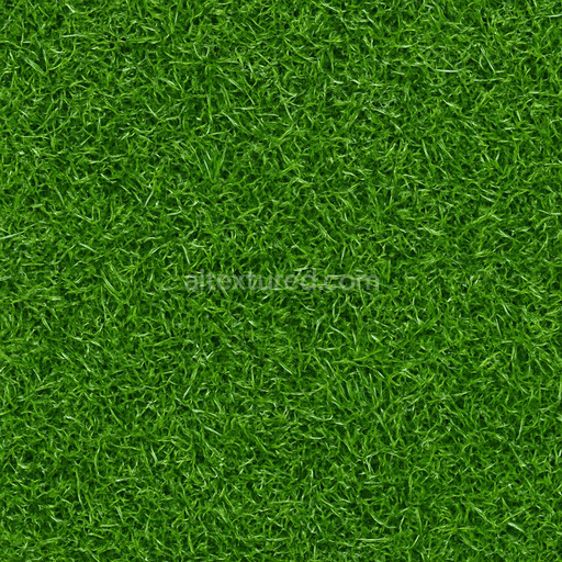 Wet Green Lawn Texture