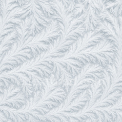 seamless Rime Ice Feathery Frost texture 1024x1024 free download PBR