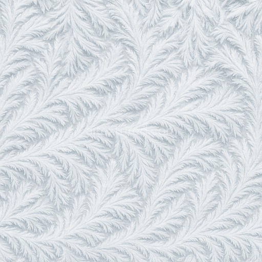 Rime Ice Feathery Frost
