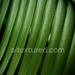 seamless High-Detail Close-Up Texture of Natural Green Plant Veins texture 8k free download PBR
