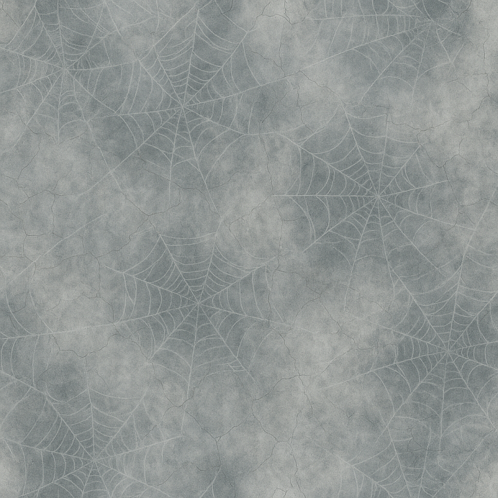 Spider Web With Cobweb Dust For Haunted Scenes seamless PBR texture preview