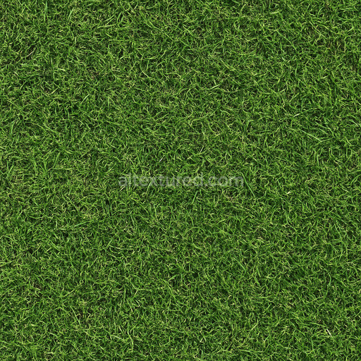Rough Green Lawn Texture