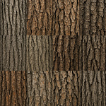 Free Bark texture 1024x1024 download