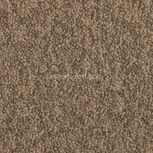 Rough Patterned Carpet Texture Seamless 1024X1024