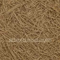 seamless Coarse Dried Grass Seamless Texture texture 8k free download PBR