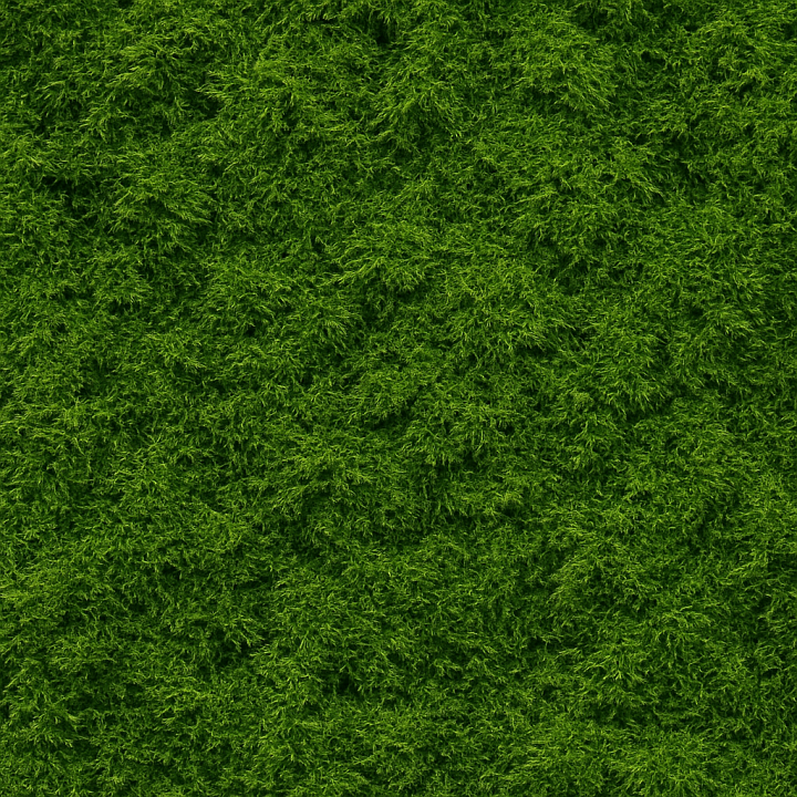 Forest Moss seamless PBR texture preview