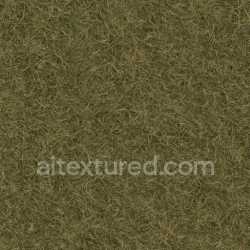 seamless Rough Grass Texture texture 8k free download PBR